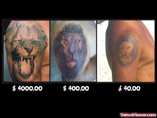 Lion Tattoos Designs