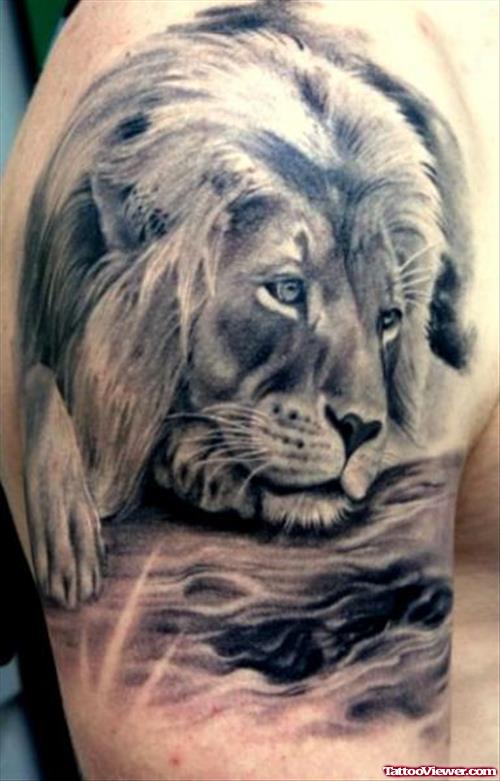 Grey Ink Right Shoulder Lion Tattoo