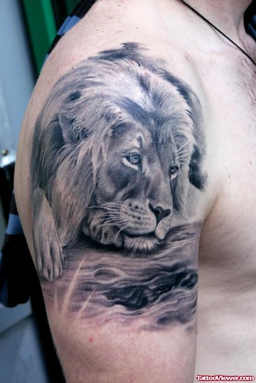Grey Ink Lion Tattoo On Right Shoulder