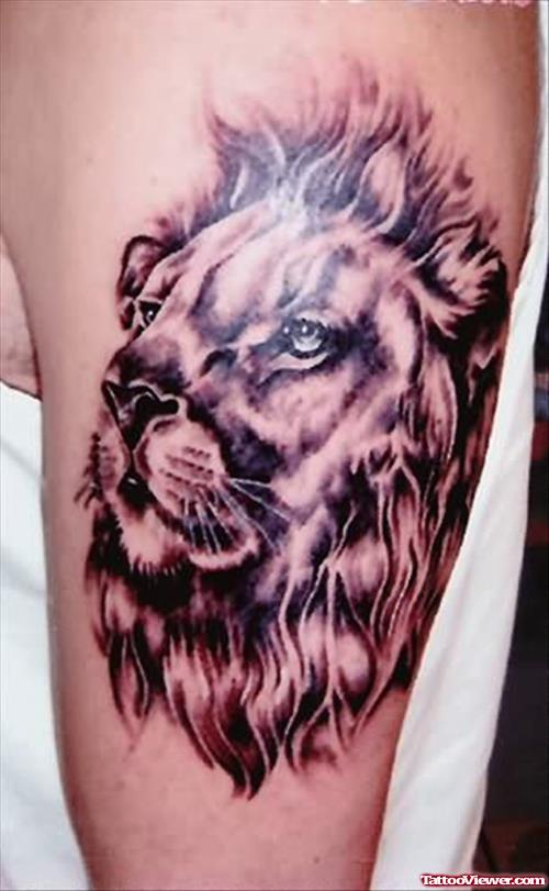 Coloured Lion Face Tattoo