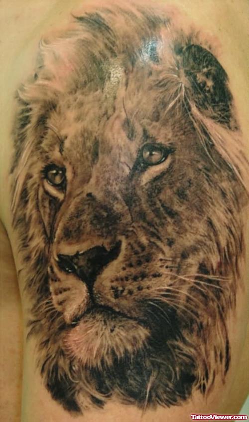 Lion Tattoos Idea