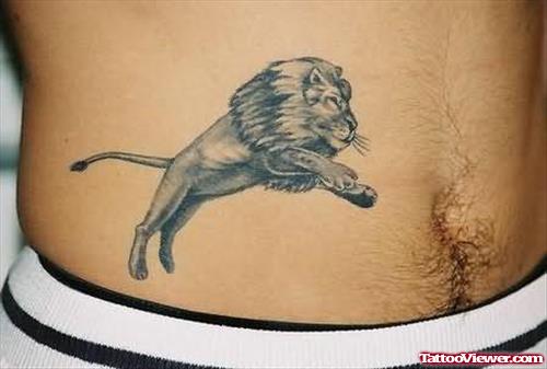 Lion Tattoo Design On Belly
