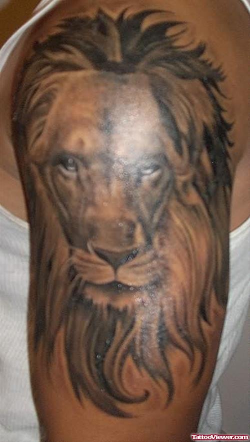 Lion Tattoo On Shoulders