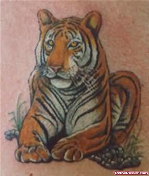 Sitting Tiger Tattoo Design On Back