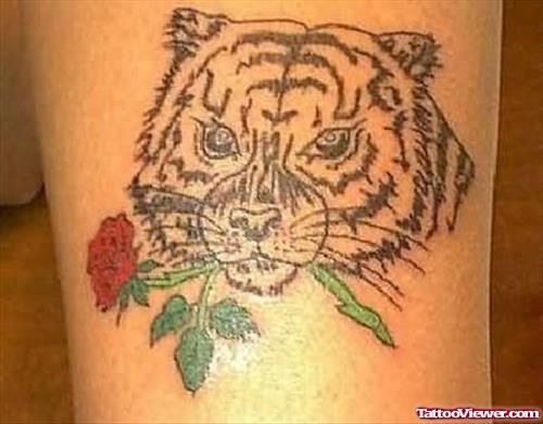 Rose And Cubs Tattoo Design On Back