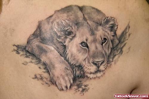 Sitting Lion Tattoo On Back