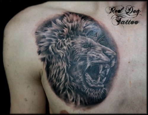 Amazing Grey Ink Lion Tattoo On Man Chest