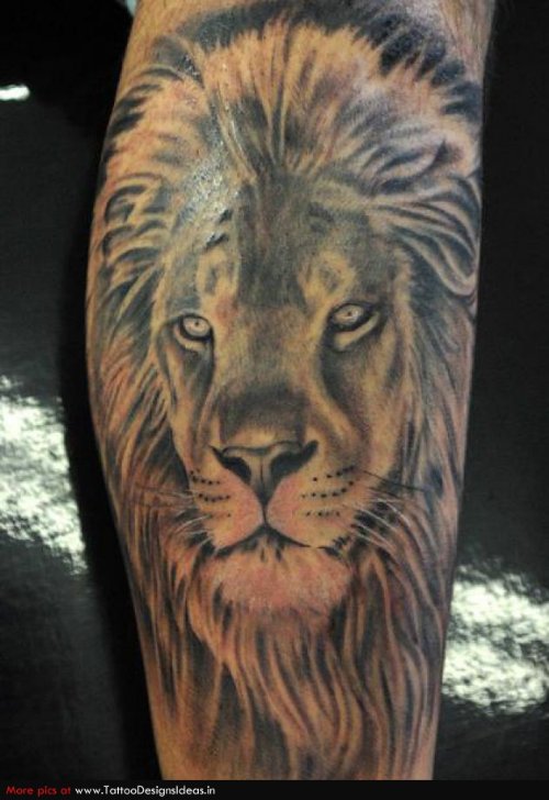 Nice Grey Ink Lion Head Tattoo