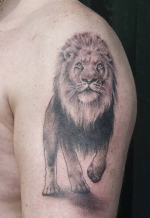 Beautiful Lion Tattoo For Guys