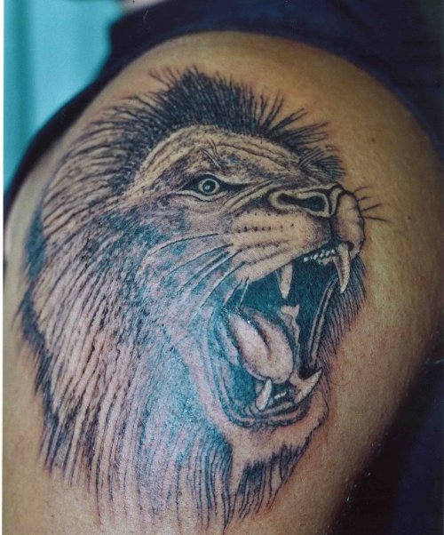 Roaring Lion Tattoo On Right Shoulder