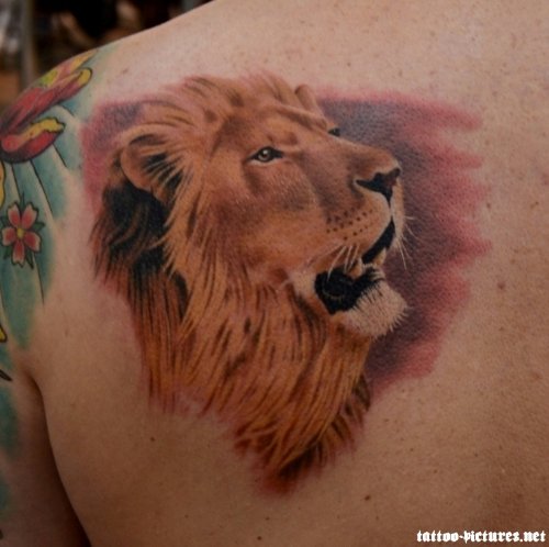 Color Ink Lion Head Tattoo On Back Shoulder
