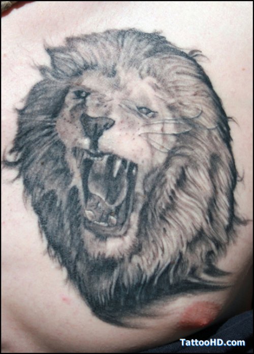 Grey Ink Lion Tattoo On Chest