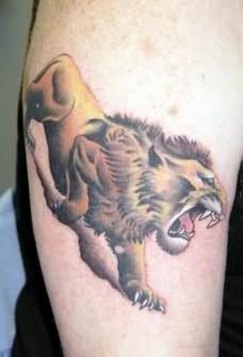 Roaring Lion Tattoo Design On Bicep
