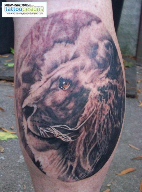 Grey Ink Lion Tattoo