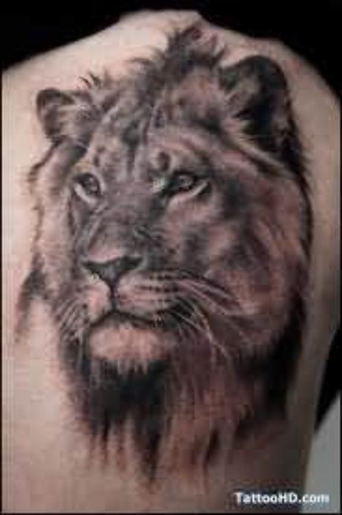 Grey Lion Face Tattoo
