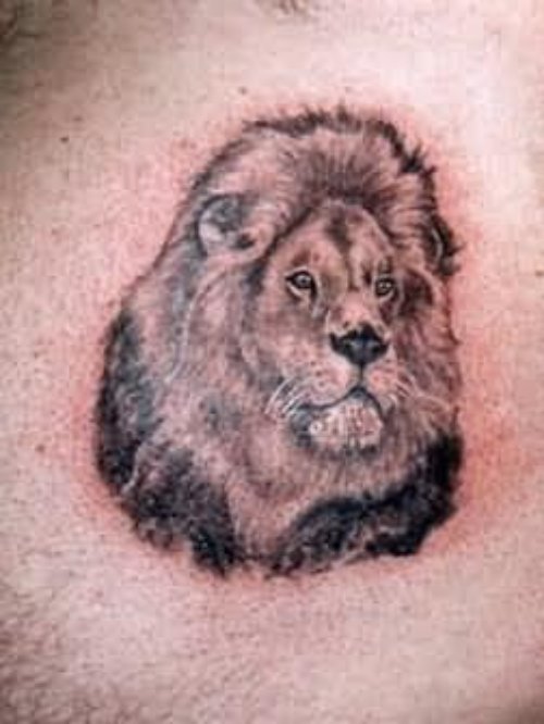 Lion Tattoo Design For Back