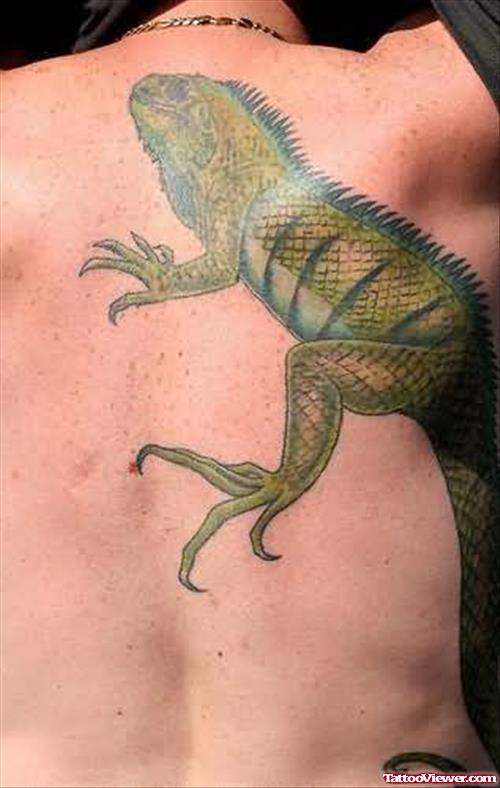 Lizard Tattoo Pictures