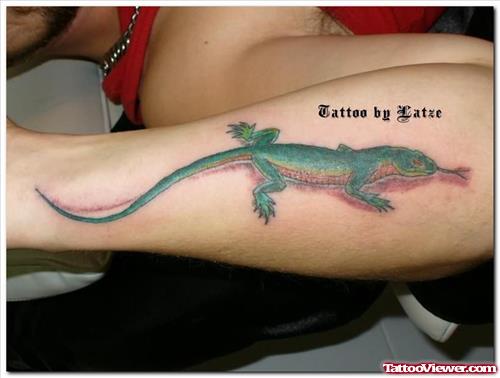 Lizard Tattoo Designs Pictures