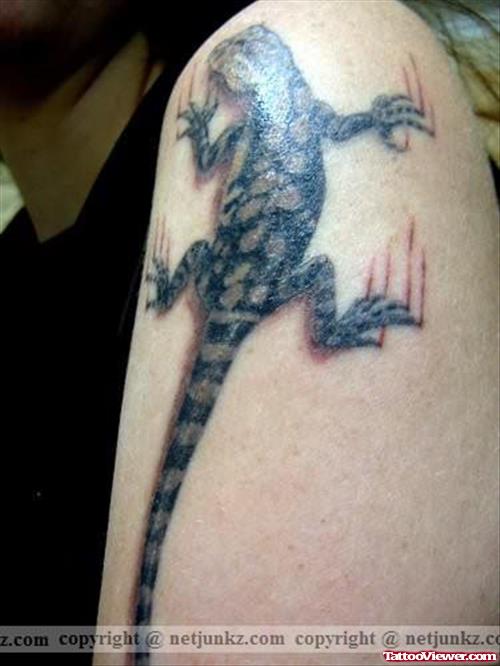 Lizard Paw Scratch Tattoo