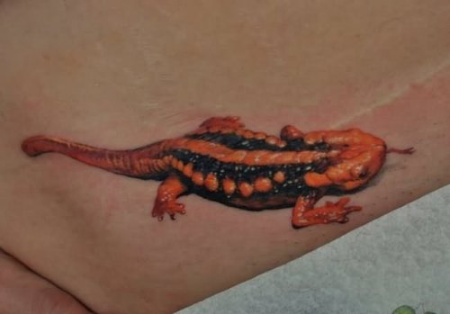Lizard Coloured Tattoo
