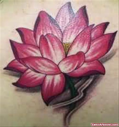 Best Lotus Tattoo Design