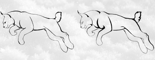 Jumping Lynx Outline Tattoo Design