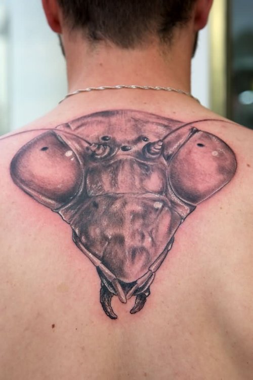 Grey Ink Mantis Tattoo On Upperback