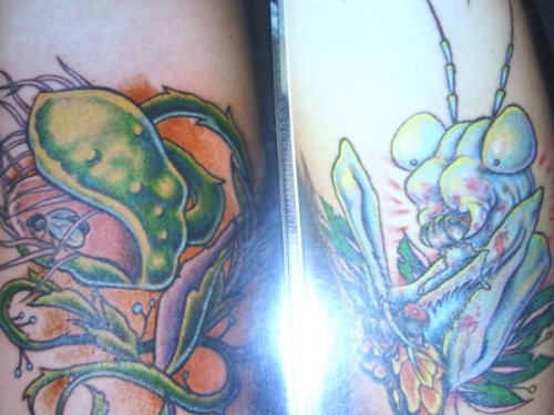 Mantis And Fly Trap Tattoo