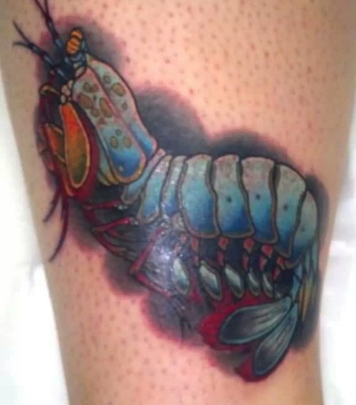 Mantis Tattoo On Bicep