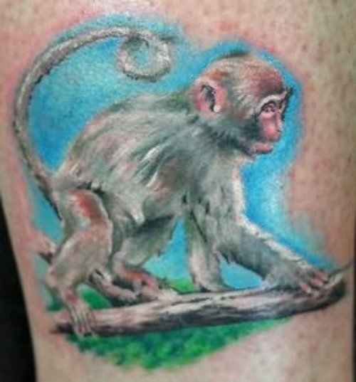 Beautiful Monkey Tattoo For Young