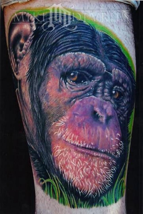 Another Monkey Tattoo