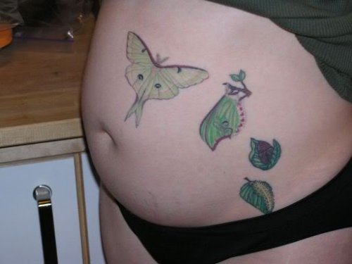Moth and Green Leafs Tattoos On Belly