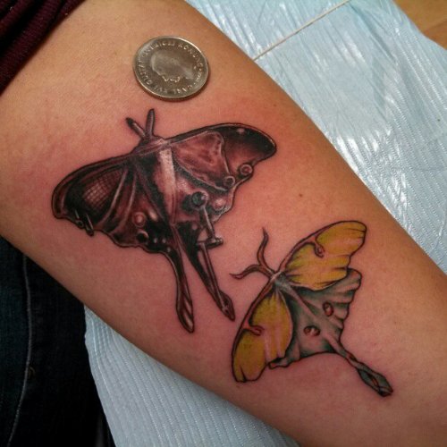 Colored Moth Tattoos On Arm