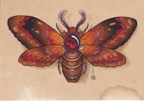 Death Moth Color Ink Tattoo Design