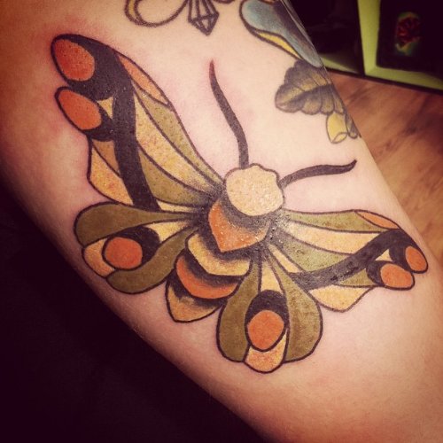 Stylish Colored Ink Moth Tattoo