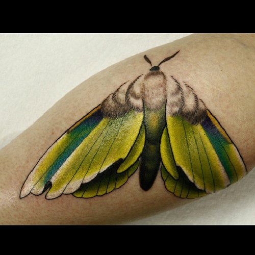 Green Ink Moth Bicep Tattoo