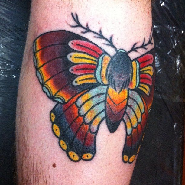 Colored Open Wings Moth Tattoo
