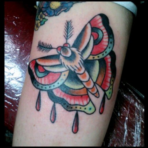 Beautiful Colorful Moth Tattoo On Bicep