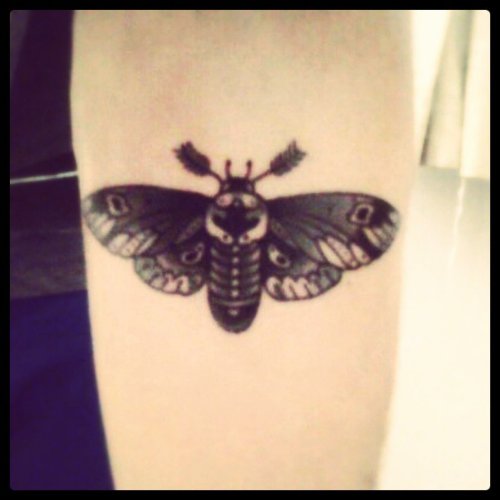 Fine Left Bicep Moth Tattoo
