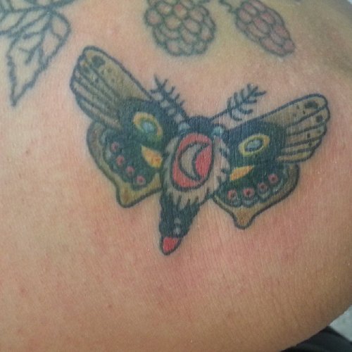 Awesome Colored Ink Moth Tattoo On Back