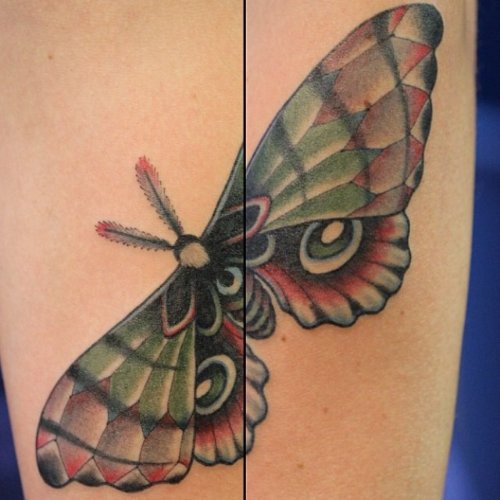 Green And Red ink Moth Tattoo