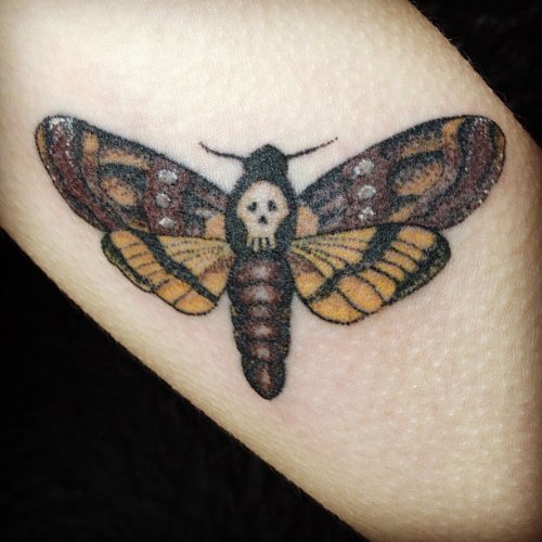 Mind Blowing Yellow Ink Moth Tattoo On Bicep