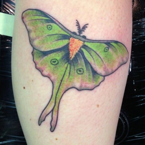 Green Luna Moth Tattoo