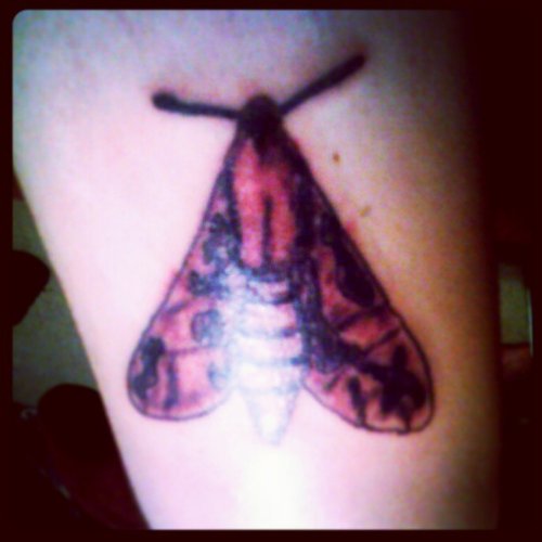 Red ink Small Moth Tattoo