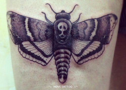 Skull Grey Ink Moth Tattoo