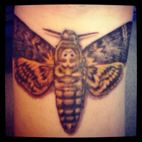 Awesome Moth Tattoo Picture