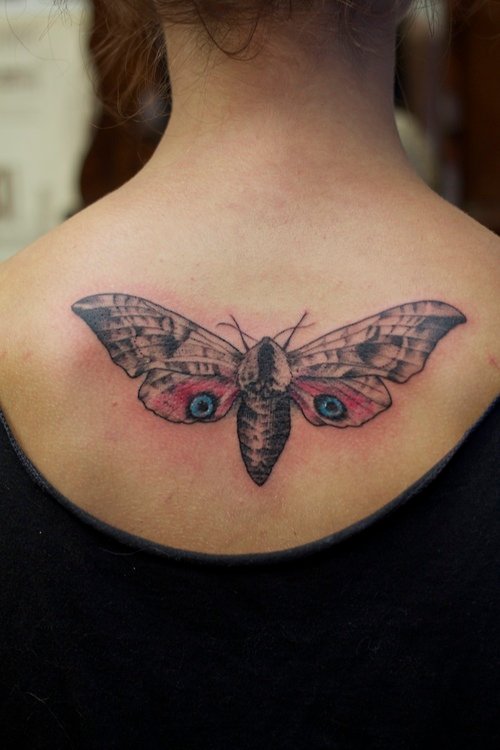 Upperback Moth Tattoo For Girls