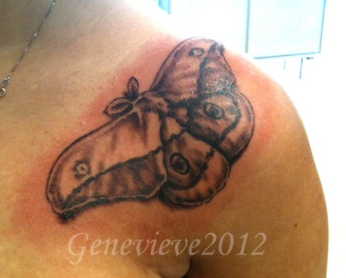 Grey Ink Moth Tattoo On Left Shoulder