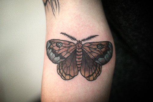 Extreme Grey Ink Right Arm Moth Tattoo