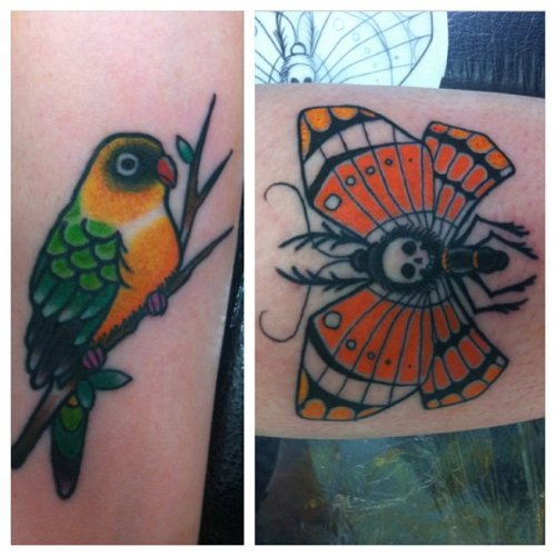 Colored Parrot and Moth Tattoos